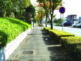 笹久保の３館周回道路