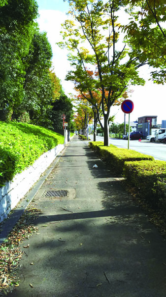 笹久保の３館周回道路