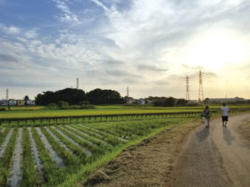 夕暮れの黒沼たんぼ