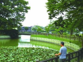 岩槻　和土住宅公園の大池