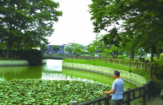 岩槻　和土住宅公園の大池