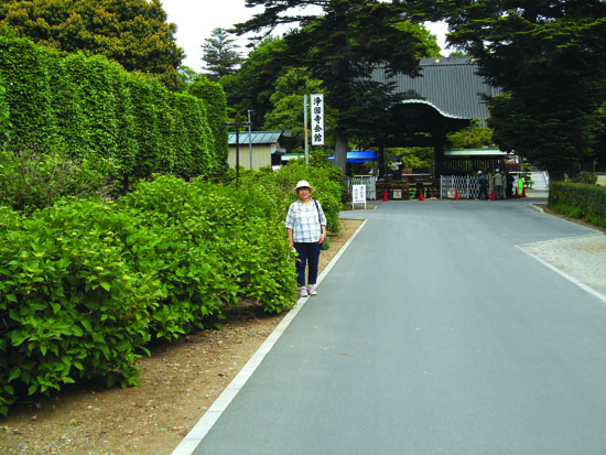 浄国寺参道