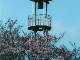 花と柳東岩槻南平野公園