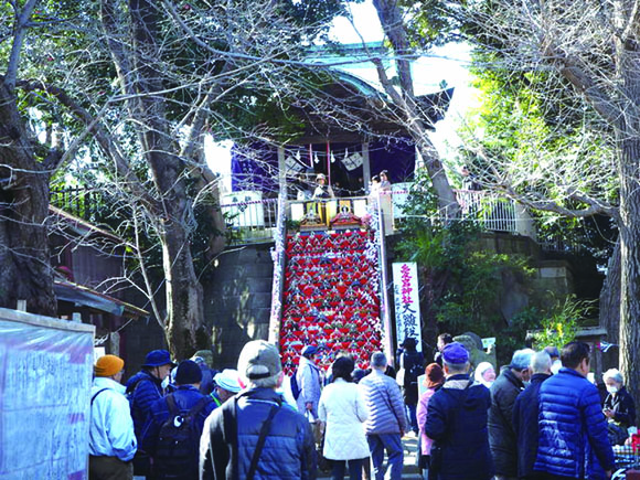 岩槻　イベント　愛宕神社の大雛段飾り