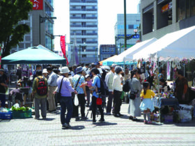 岩槻　端午の節句イベント